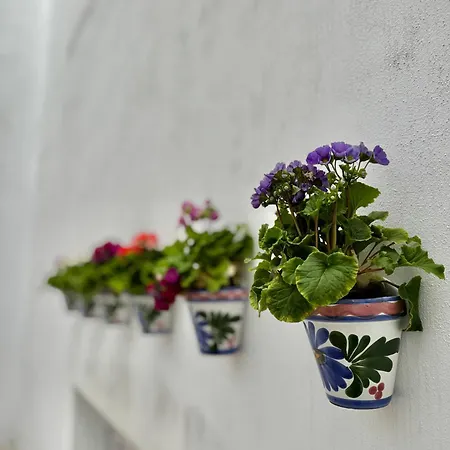Aparthome Sanroman Seville